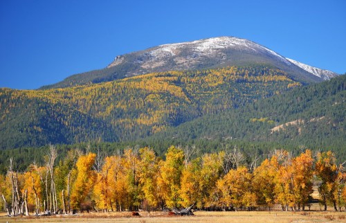 A scenic mountain landscape with vibrant autumn foliage and a clear blue sky. Snow caps the peak in the background.