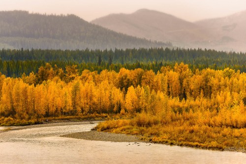 A serene river flows through a landscape of vibrant autumn trees and distant mountains under a misty sky.