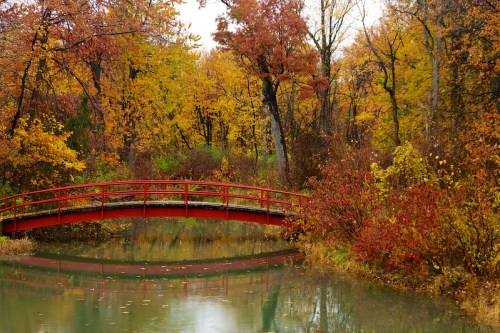 A red bridge arches over a calm pond, surrounded by vibrant autumn foliage in shades of orange and yellow.