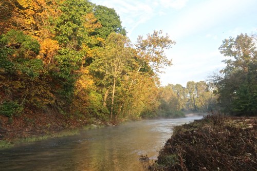 A serene river flows through a forest with vibrant autumn foliage and morning mist.