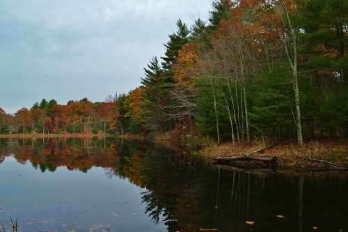 A serene lake surrounded by trees with autumn foliage, reflecting the colorful landscape on a cloudy day.