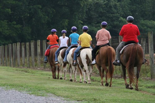 A group of six people on horseback, wearing helmets, riding along a grassy path beside a wooden fence.