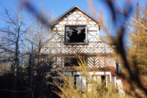 An abandoned house with a broken window, surrounded by trees and overgrown vegetation, under a clear blue sky.