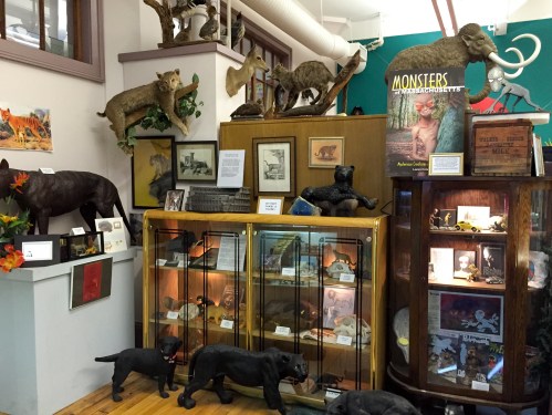 A display of various animal sculptures and artifacts in a museum setting, featuring glass cases and informational signs.