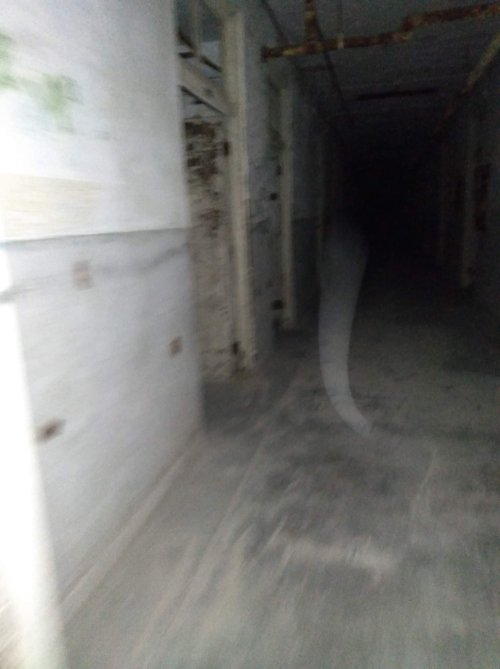 A dimly lit, empty hallway in an abandoned building, with peeling walls and a dusty floor.