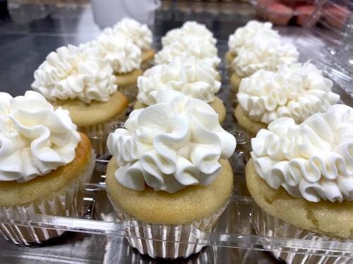 A close-up of several vanilla cupcakes topped with swirls of white frosting in a clear plastic container.