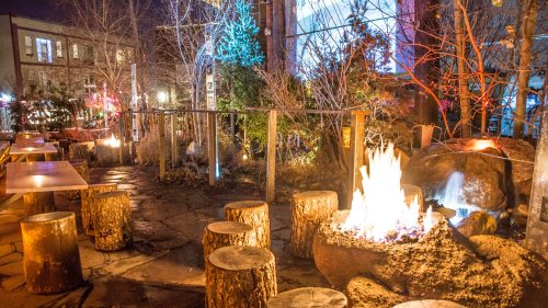 A cozy outdoor seating area with wooden stumps, a fire pit, and trees, illuminated at night.