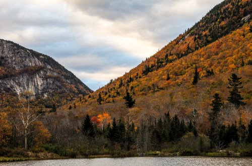 A serene landscape featuring mountains with autumn foliage reflected in a calm lake under a cloudy sky.