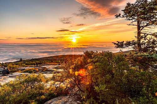 A stunning sunset over a mountainous landscape, with clouds below and trees framing the scene.