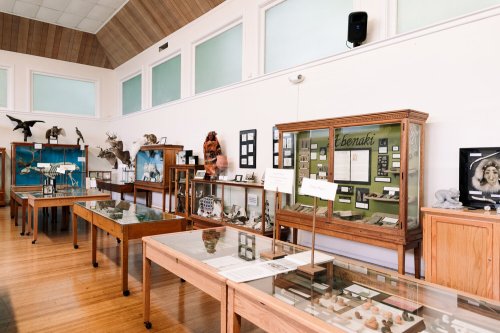 A museum display featuring glass cases with various artifacts and specimens, surrounded by wooden furniture and exhibits.