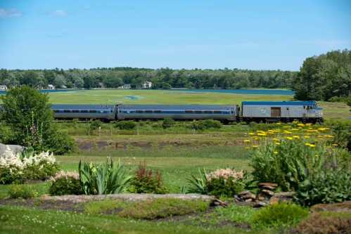 A train travels through a lush green landscape with a lake and trees in the background, surrounded by colorful flowers.