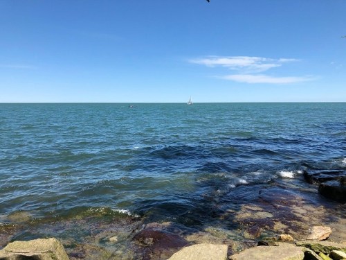 A serene view of a calm sea under a clear blue sky, with a small sailboat in the distance and rocky shoreline in the foreground.