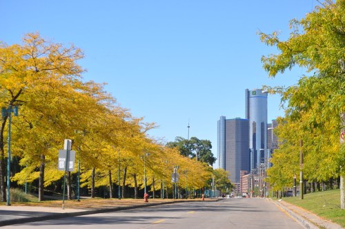 A tree-lined street with vibrant yellow leaves, leading to a city skyline under a clear blue sky.