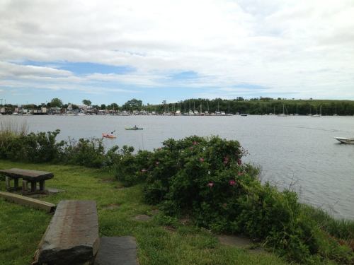 A serene view of a river with boats, greenery, and a cloudy sky in the background.