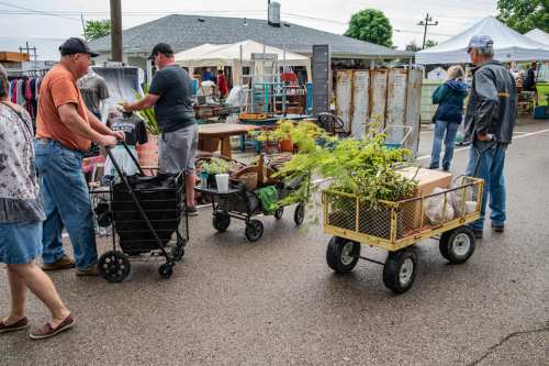 A bustling outdoor market scene with shoppers using carts and wagons filled with plants and goods. Tents in the background.