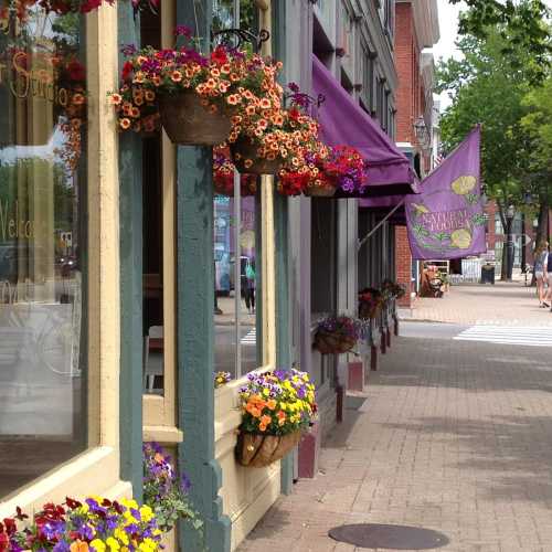 Colorful flower pots adorn a charming street lined with shops and a purple awning, creating a vibrant, inviting atmosphere.