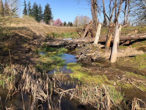 A serene landscape featuring a small stream, fallen logs, and lush greenery under a clear blue sky.