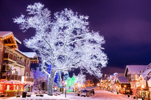 A snowy street adorned with colorful holiday lights and a large, illuminated tree against a twilight sky.