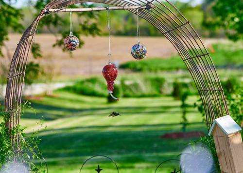 A garden arch with colorful hanging ornaments and a hummingbird hovering nearby, set against a lush green landscape.
