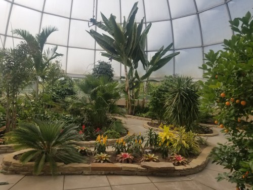 A lush indoor garden with various tropical plants, palm trees, and colorful flowers in a glass dome structure.