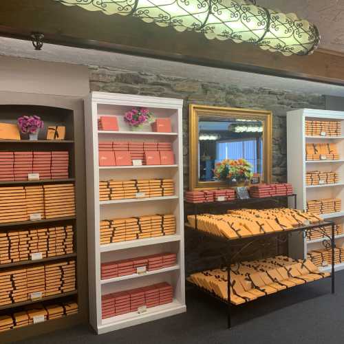 A cozy shop interior with shelves of colorful notebooks and a mirror, accented by flowers and warm lighting.