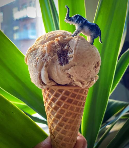 A hand holds an ice cream cone topped with a toy elephant, surrounded by green plant leaves.