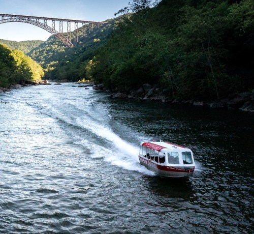 A boat speeds along a river beneath a large bridge, surrounded by lush green hills.