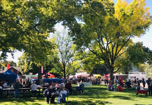 A lively outdoor festival in a park, with people enjoying food and activities under large trees on a sunny day.