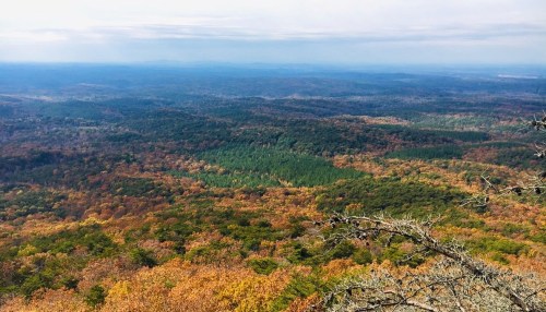 A panoramic view of a colorful autumn landscape with rolling hills and a mix of green and orange foliage.
