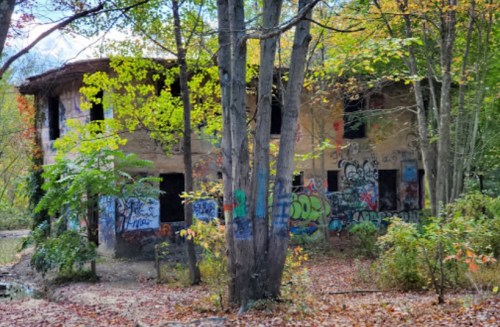 Abandoned building covered in graffiti, surrounded by trees and autumn foliage.