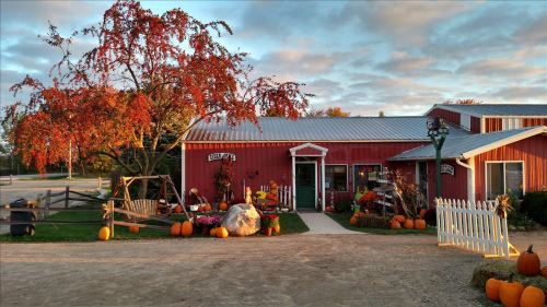 A red barn-style shop surrounded by pumpkins and autumn foliage under a colorful sky.
