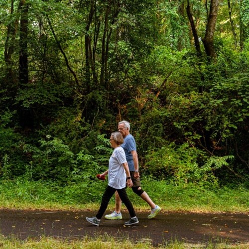Two people walk along a path in a lush, green forest, surrounded by trees and foliage.