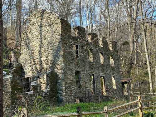 Ruins of a stone building surrounded by trees and greenery, with a clear blue sky in the background.