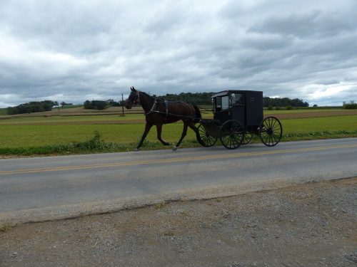 A horse-drawn buggy travels along a rural road, with fields and cloudy skies in the background.