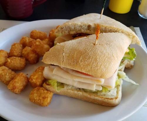 A sandwich with turkey, lettuce, and tomato, served with a side of golden tater tots on a white plate.