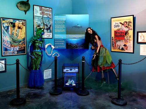 A museum exhibit featuring mermaid mannequins, vintage posters, and an aquarium display.