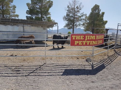 A petting zoo with a sign reading "The Jim Marsh Petting Zoo" and animals grazing under clear blue skies.