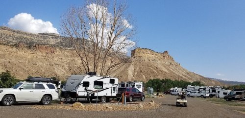 A campsite with RVs parked near a rocky cliff under a clear blue sky, featuring a barren tree in the foreground.