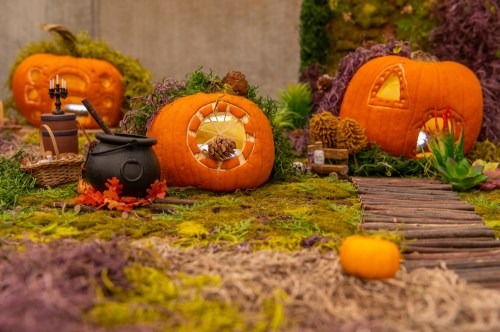 A whimsical scene with carved pumpkins, a cauldron, and a mossy landscape, evoking a cozy autumn atmosphere.