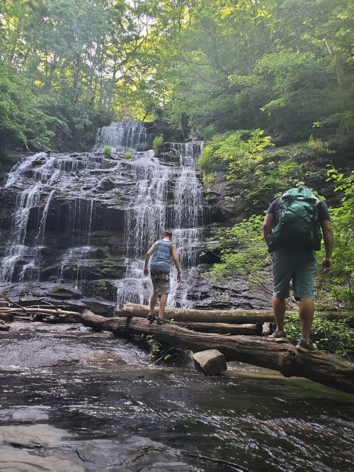 Two hikers walk along a log near a waterfall surrounded by lush greenery.