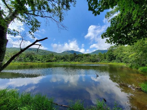 A serene lake surrounded by lush greenery and mountains under a blue sky with fluffy clouds.