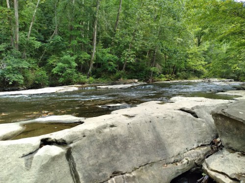 A serene river flows over smooth rocks, surrounded by lush green trees in a peaceful natural setting.