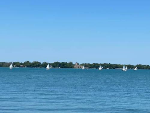 Sailboats glide across a calm blue lake with a clear sky and green shoreline in the background.