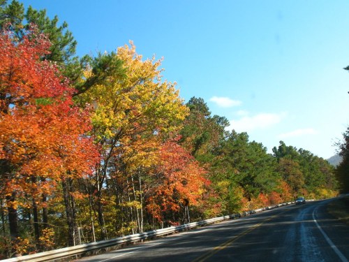 A scenic road lined with vibrant autumn trees in shades of red, orange, and yellow under a clear blue sky.