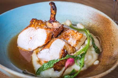 A plate of sliced roasted chicken served on creamy puree, garnished with greens and a flavorful broth.