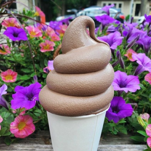 A soft-serve chocolate ice cream cone in a cup, surrounded by colorful flowers.