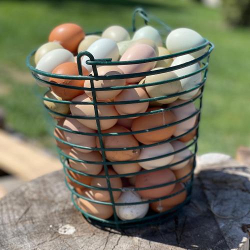A wire basket filled with various colored eggs sits on a wooden surface outdoors.