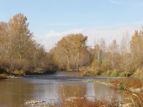 A serene river scene surrounded by trees with autumn foliage under a clear blue sky.
