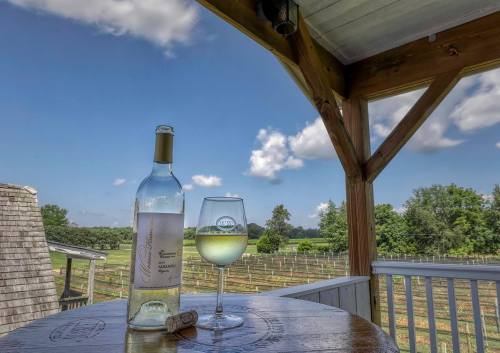 A bottle of white wine and a glass sit on a wooden table, overlooking a vineyard under a blue sky with fluffy clouds.