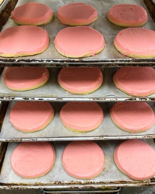 Trays of round cookies with pink frosting, arranged in neat rows on metal baking sheets.